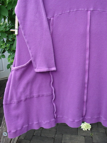 Barclay Thermal Cowl Collar Vertical Empire Pocket Dress Unpainted Magenta Size 1, a purple knit tunic with long sleeves and front patch pockets, hangs on a clothesline amidst greenery.