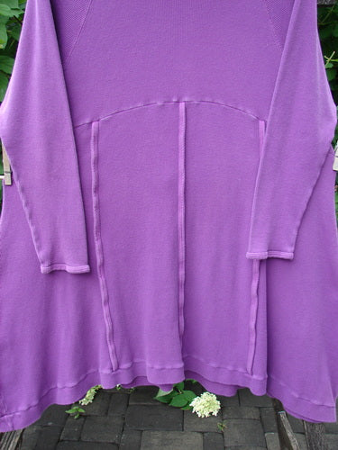 Barclay Thermal Cowl Collar Vertical Empire Pocket Dress Unpainted Magenta Size 1, draped outdoors, showcases long sleeves and panel seams, embodying vintage Blue Fish Clothing's creative freedom and individuality.