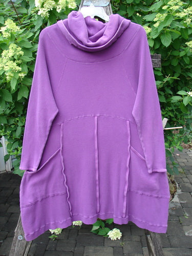 Barclay Thermal Cowl Collar Vertical Empire Pocket Dress Unpainted Magenta Size 1 displayed on a wooden ladder, highlighting its long sleeves, cowl neck, loose flare skirt, and side pockets amidst lush greenery.