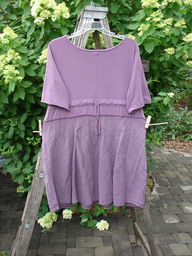 Barclay Linen Cotton Two Pocket Tie Back Square Dress Bloom Burst Plum Size 1 hanging on a ladder, showcasing its loose fit, round neckline, and waist tie, amid a lush garden backdrop.