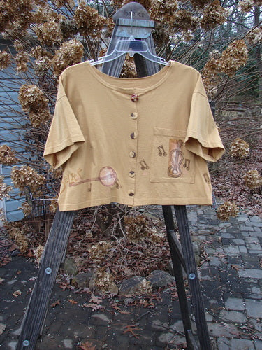 1994 Song Top Make Music Dijon Size 2, featuring a wide crop box shape, painted music notes, and oversized front pocket, displayed on a swing.