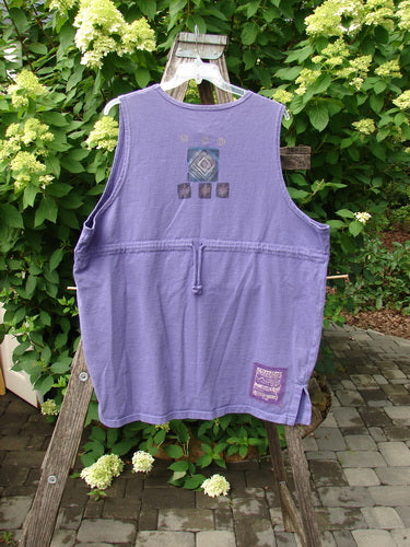 1996 Symbol Vest Star Rain Byzantium Size 2, made of heavyweight organic cotton, hangs on a wooden trellis. Features include a waist drawstring, square back graphic, unique buttons, and Blue Fish patch.