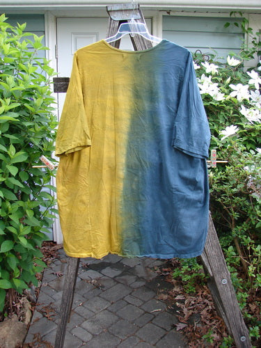 Barclay Tournesol Tunic Harmonic Hillside Mottled Dawn OSFA features a loose, tunic-length design with drop shoulders, three-quarter sleeves, and varying hemline, embodying BlueFishFinder's vintage, expressive style.