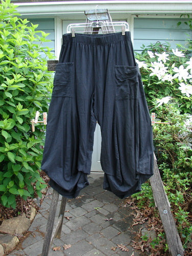 Barclay Linen Tie Bottom Billow Pocket Pant Unpainted Black Size 0, showcasing a full elastic waistline, billowing lower fall, and unique adjustable tie bottoms for versatile length, embodying BlueFishFinder's creative, vintage style.