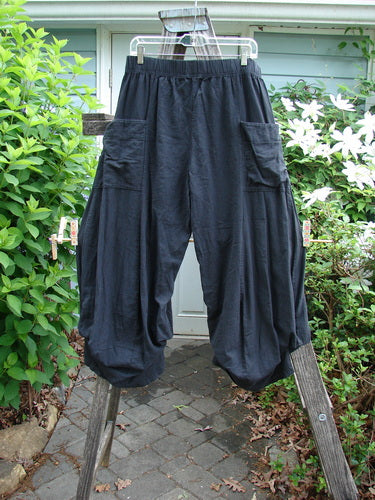 Barclay Linen Tie Bottom Billow Pocket Pant Unpainted Black Size 0 featuring a full elastic waistline, billowing lower fall, and interior tie-up draw cords, showcasing unique lengths with a slimming pocketless drape.