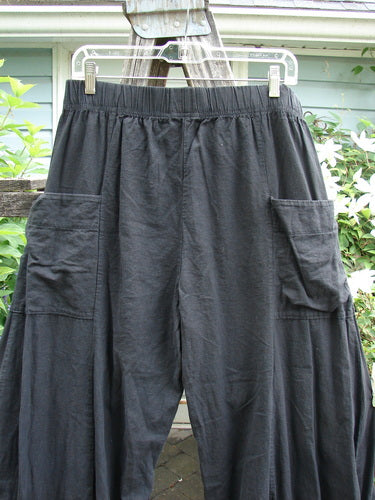 Barclay Linen Tie Bottom Billow Pocket Pant Unpainted Black Size 0 features a full elastic waist, billowing lower fall, dimensional wide swingy lowers, and interior tie-up draw cords, epitomizing unique vintage style.
