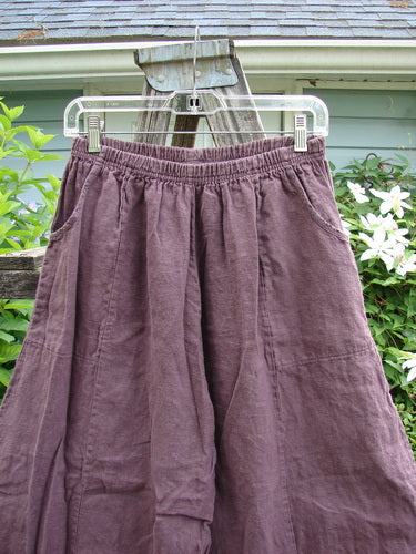 Barclay Linen Sectional Panel Pocket Pant Unpainted Loam Size 0 features a full elastic waist, elongating shape, dual cargo-like pockets, and sectional panels, embodying Bluefishfinder's vintage-inspired, expressive style.