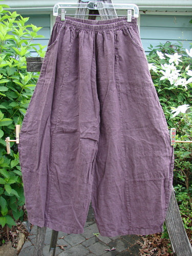 Barclay Linen Sectional Panel Pocket Pant in Loam, Size 0, features an elongating shape with dual cargo pockets and sectional panels, ideal for spring or summer wear, embodying BlueFishFinder's creative, vintage style.