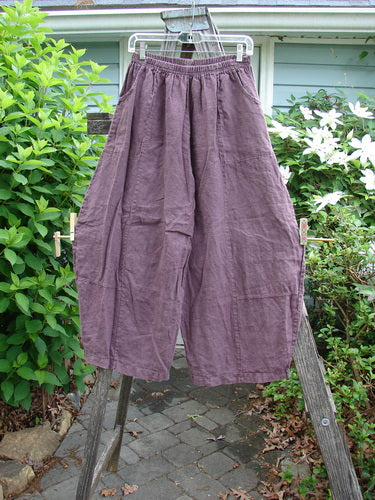 Barclay Linen Sectional Panel Pocket Pant Unpainted Loam Size 0, featuring a full elastic waist, elongating shape, dual cargo-style pockets, sectional panels, and longer inseam, ideal for spring or summer wear.