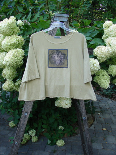 Barclay PMU Patched Short Sleeved Crop A Lined Tee Honey Size 2, featuring a square graphic on the chest, wide elbow-length sleeves, displayed on a hanger against a rustic stepladder.
