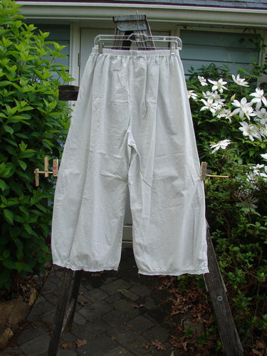 The Barclay Batiste Tiny Flutter Pocketless Pant Unpainted Natural Size 0 features a unique flutter hem, full elastic waistline, and straight shape, reflecting Bluefishfinder.com's vintage-inspired ethos.