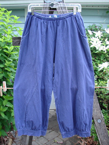 Barclay Curve Pocket Bottom Tab Pant in Blueberry, size 0. Features full elastic waist, billowing lower fall, top entry pockets, and unique curvy S seams, embodying Bluefishfinder's vintage, expressive style.