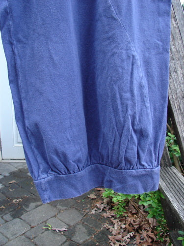 Barclay Curve Pocket Bottom Tab Pant Unpainted Blueberry Size 0, featuring a full elastic waistline, billowing lower fall, curvy S seams, top entry pockets, and a distinctive lower gathered tab.