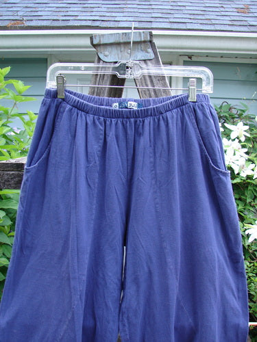 Barclay Curve Pocket Bottom Tab Pant Unpainted Blueberry Size 0, featuring a full elastic waist, billowing lower fall, and two top entry pockets, showcasing curvy S seams and a sweet lower gathered tab.