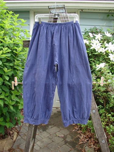 Barclay Curve Pocket Bottom Tab Pant Unpainted Blueberry Size 0 features a full elastic waist, curvy S seams, two top entry pockets, and a gathered lower tab, perfect for creative styling.