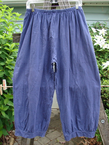 Barclay Curve Pocket Bottom Tab Pant Unpainted Blueberry Size 0, featuring a relaxed fit with a full elastic waist, billowing lower fall, curvy seams, and two top entry pockets, ideal for creative styling.