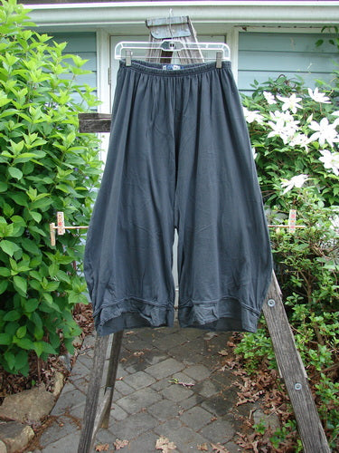 Barclay Lightweight Nepenthe Pant Unpainted Dark Ash Size 0, featuring a sweet bottom flutter, full elastic waistline, and raw lower panels, crafted from organic cotton for versatile summer wear.