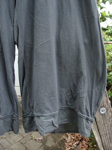 Barclay Lightweight Nepenthe Pant Unpainted Dark Ash Size 0, featuring a sweet bottom flutter, full elastic waist, rolled raw lower panels, and slightly shorter rise, highlighting BlueFishFinder.com's vintage, expressive style.