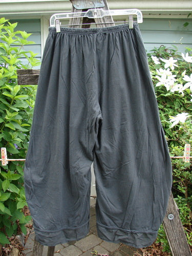 Barclay Lightweight Nepenthe Pant Unpainted Dark Ash Size 0 features a sweet bottom flutter, full elastic waistline, rolled raw lower panels, and a slightly shorter rise, crafted from lightweight organic cotton.