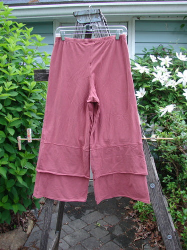 Barclay Cotton Lycra Crop 2 Petal Pantaloon in Autumn Rust, featuring a double-ruffle design, elastic waistline, and vintage-inspired style, perfect for pairing with Blue Fish pieces, size 0.
