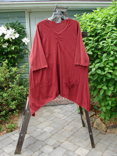 Barclay Gather Two Pocket Dress Unpainted Redish Brick Size 2 displayed on a hanger, showing its unique dip side hemline and exterior front drop pockets.