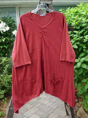Barclay Gather Two Pocket Dress Unpainted Redish Brick Size 2 displayed on a clothes hanger, featuring a varying hemline, vertical gather, A-line shape, empire waist seam, wide sleeves, and two front drop pockets.