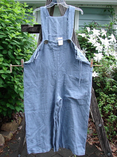 1999 NWT Summercloth Suspender Pant Overall Unpainted Bluestone Size 1 features oversized pockets, sturdy shoulder straps, heavyweight buttons, drawcord sides, and a signature Blue Fish stamp, ideal for versatile styling.