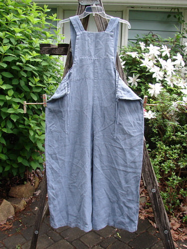 1999 NWT Summercloth Suspender Pant Overall Unpainted Bluestone Size 1, showcasing oversized pockets, thick shoulder straps, sturdy buttons, and swingy lowers, exemplifying vintage Blue Fish Clothing's creative and versatile design.