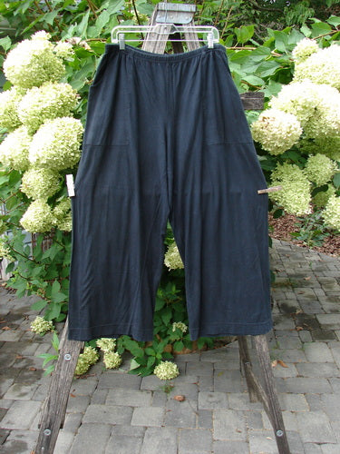 Barclay Basic Pocket Flare Pant Unpainted True Black Size 2, displayed on a clear hanger against a backdrop of hydrangeas, showcasing loose-fit, cropped design with elastic waist and deep side pockets.
