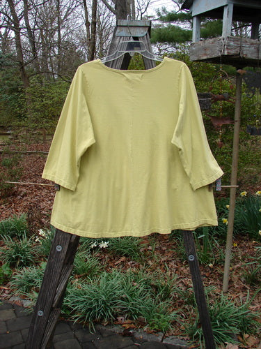 Barclay Three Quarter Sleeved A Lined Tee Garden Friends Mottled Plantain Size 0 displayed on a clothes rack, showcasing its A-line shape and rounded, rolled neckline with sweet curly edgings.