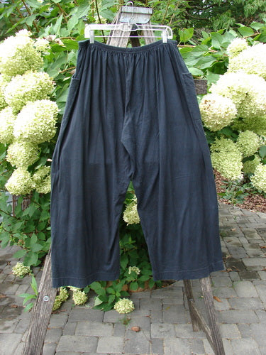 Barclay Basic Pocket Flare Pant Unpainted True Black Size 2, crafted from organic cotton, hangs outdoors. Features include a full elastic waist, deep wrap pockets, and wide legs, reflecting Bluefishfinder.com's unique vintage style.