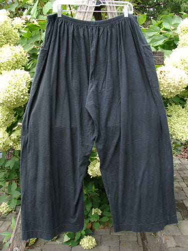 Barclay Basic Pocket Flare Pant Unpainted True Black Size 2 features a loose fit with wide legs, elastic waistband, and deep upper wrap side pockets, showcased against a natural outdoor setting.