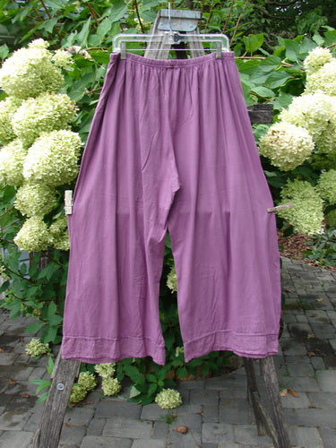 Barclay Basic Pocket Flutter Flare Pant Unpainted Magenta Size 2, loose-fitting with wide legs, hangs on a stepladder, showcasing its relaxed fit, elastic waist, and flutter accents.