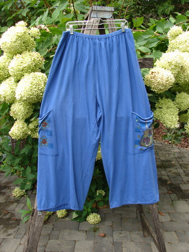 Barclay Drawstring Double Pocket Pant Shop Purse Skylark Size 2, featuring elastic waist, buttoned flap pockets with floral appliqué, displayed on a wooden A-frame in a garden setting, highlighting vintage Blue Fish Clothing style.