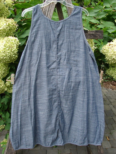 Barclay NWT Light Weight Chambray Shift Stripe Blue Light Size 0 features a sleeveless, loose fit with a scoop neckline, unique hem, and widening lower shape, hanging in a garden setting.