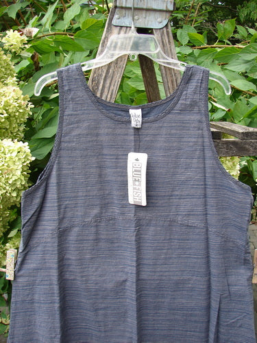 Barclay NWT Light Weight Chambray Shift Stripe Denim Dark Size 0, sleeveless scoop-neck dress with muted blue stripes, hangs on a plastic hanger outdoors, showcasing its unique hem and empire waist seam.