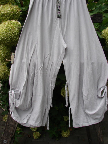 Barclay NWT Crop Billow Pant Unpainted Pearl Smoke Size 0, light-gray, loose-fitting with drawstring waist, multiple side pockets, and ties, hangs against wooden support, showcasing its organic cotton fabric and relaxed design.
