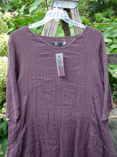 Barclay NWT Linen Zen Pocket Tunic Dress Unpainted Fig Size 0, displayed on a hanger outdoors, features elbow-length sleeves, front seam details, side pockets, and a varied hemline in a lightweight linen fabric.