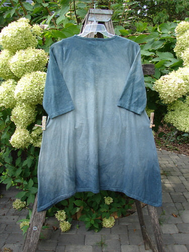 Barclay NWT Wander Tunic Tee Moon Fern Mottled Grey Green Size 0, displayed on a wooden stepladder outdoors, showcasing its loose fit, long sleeves, rounded neckline, and unique moon fern design.