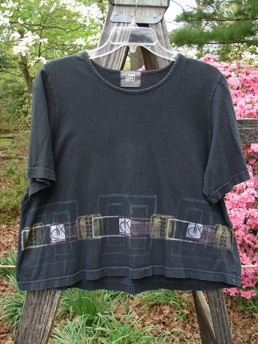 2000 Short Sleeved Crop Tee Transition Black Size 1, featuring a Sweet Transition Theme graphic, wider flat neckline, super wide crop box shape, and signature Blue Fish patch, displayed on a hanger.