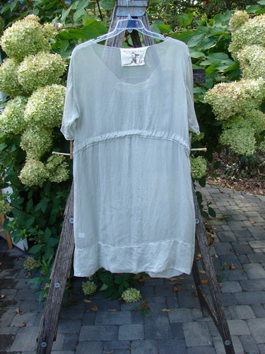 Magnolia Pearl Silk Voile Smocked Tie Back Dress Lightest Sage OSFA hangs on a wooden ladder, showcasing its scooped neckline, three-quarter sleeves, gathered waist, and smocked details, reflecting Bluefishfinder.com's vintage, expressive style.