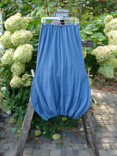 Barclay NWT Sprig Skirt Script Garden Echo Blue Size 0 hangs on a plastic hanger, showcasing its bubble-hem design with elastic waist and painted garden theme, set against a garden backdrop.