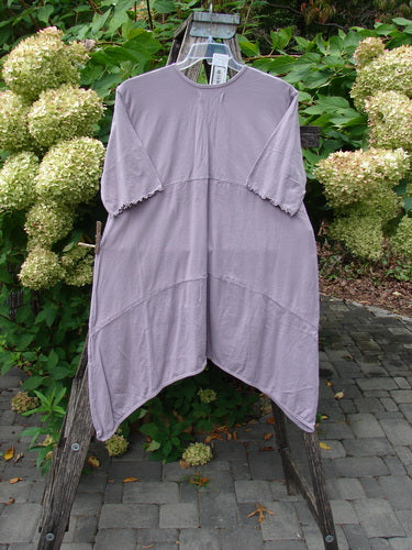 Barclay NWT Perfect Day Pocket Tunic Dress Love Dove Sea Fog Size 0, featuring a loose fit, asymmetrical hem, vertical elastic gather, oversized pockets, and lettuce-edged sleeves, hanging outdoors.