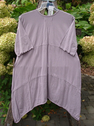 Barclay NWT Perfect Day Pocket Tunic Dress Love Dove Sea Fog Size 0 showcases a loose-fitting tunic with asymmetrical hemline, lettuce-edge sleeves, vertical elastic gather, and oversized pockets, embodying BlueFishFinder's creative freedom ethos.