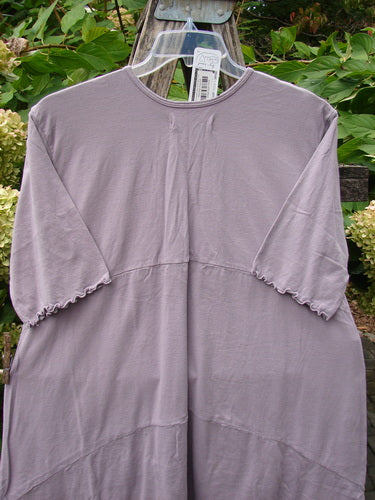 Barclay NWT Perfect Day Pocket Tunic Dress Love Dove Sea Fog Size 0 features a loose fit, elbow-length ruffled sleeves, and oversized pockets, hanging with floral background, capturing Bluefishfinder.com's vintage essence.