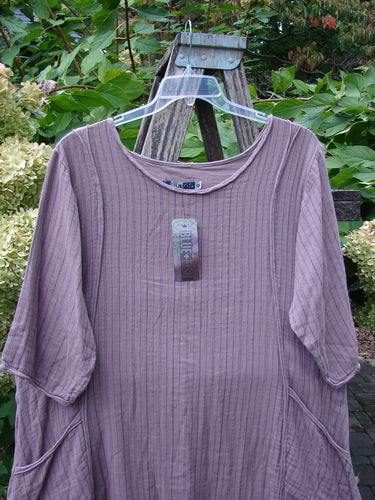 Barclay NWT Gauze Daily Pocket Dress Stripe Rose Earth Size 0 displayed on a ladder, showcasing three-quarter sleeves, rolled edgings, and a varying hemline with a retail tag attached.