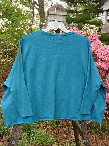 Barclay Crop Rib Sleeve Top Woods Home Aqua OSFA displayed on a hanger, showcasing its boxy shape, ribbed dolman sleeves, and wide lower hem.