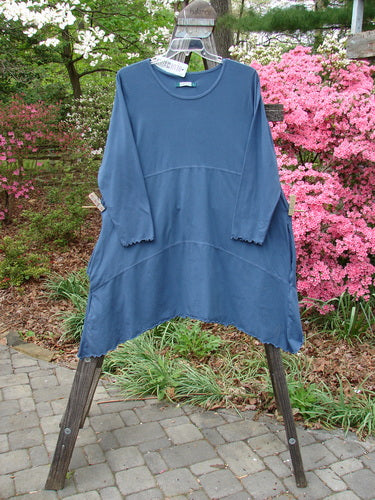 Barclay NWT Cotton Lycra Shape Dress Unpainted Indigo Size 2 displayed on a hanger, showcasing its long sleeves, softly scooped neckline, deep inseam side pockets, and varying hemline.