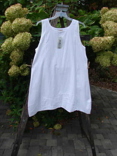 Barclay NWT Retro Pinch Shift Unpainted White Buttercup Size 1 displayed outdoors on a wooden ladder, showcasing its sleeveless design, rounded neckline, and wide A-line hem with intricate pinched accents.