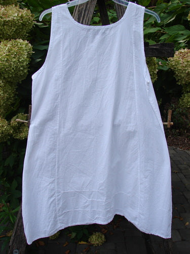 Barclay NWT Retro Pinch Shift Unpainted White Buttercup Size 1, a loose-fitting, sleeveless dress with scoop neckline and A-line shape, hangs against foliage backdrop, showcasing sectional panels and pinched accents.